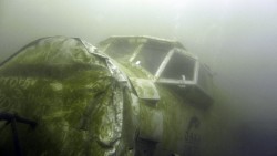 p1030774-copy.jpg