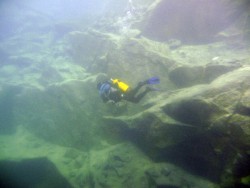 p1100436-copy.jpg